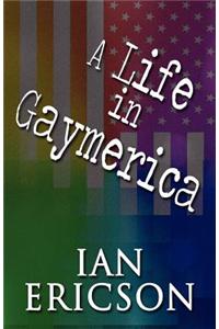 A Life in Gaymerica