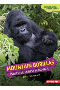 Mountian Gorillas