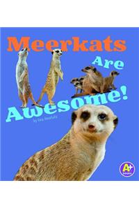 Meerkats Are Awesome!
