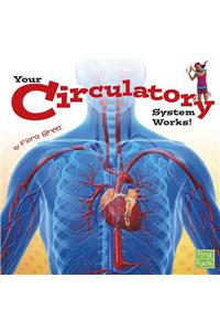 Your Circulatory System Works!