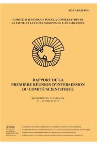 Rapport de la première réunion d'intersession du Comité Scientifique