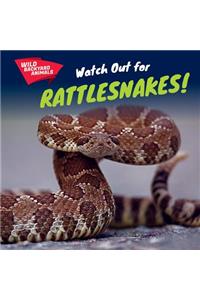 Watch Out for Rattlesnakes!