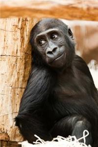 Mind Blowing Baby Gorilla 200 page journal