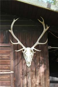 Deer Antlers on a Cabin Journal