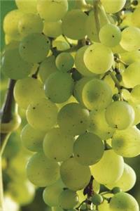 Green Grapes on the Vine Journal