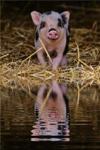 Precious Little Piggy in the Straw Animal Journal
