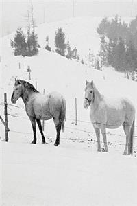 Journal Horses Winter Farm Scene