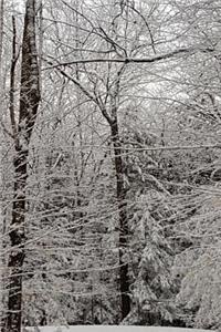 Journal Pretty Winter Picture