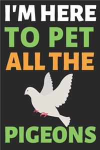 I'm Here To Pet All The Pigeons