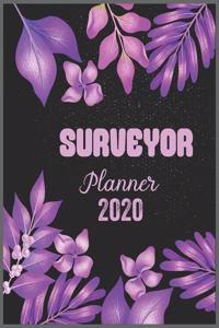 SURVEYOR Planner 2020