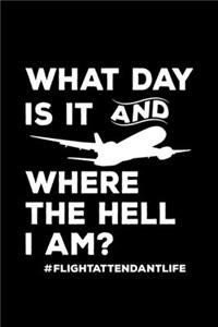 Sorry This Guy Is Already Taken By A Super Hot Flight Attendant