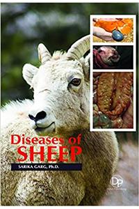 Diseases of Sheep