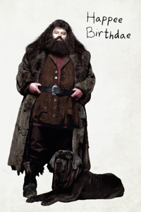 Harry Potter: Hagrid's Cake Pop-Up Card