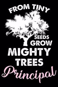 From Tiny Seeds Grow Mighty Trees Principal