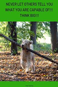 Think Big
