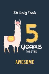 It Only Took 5 Years to be this Awesome