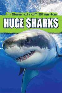 Huge Sharks