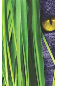 Cat in the Jungle Notebook Journal