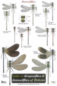 Guide to the Dragonflies and Damselflies of Britain