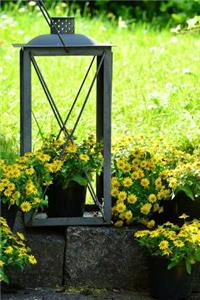 From Lantern to Daisy Planter Journal
