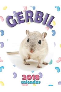Gerbil 2018 Calendar