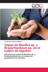 Cepas de Bacillus sp. y Bradyrhizobium sp. en el cultivo de algodón