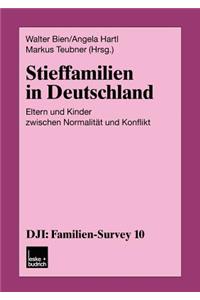 Stieffamilien in Deutschland: Eltern Und Kinder Zwischen Normalität Und Konflikt