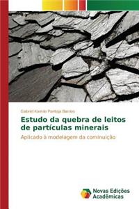 Estudo da quebra de leitos de partículas minerais