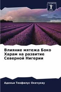 Влияние мятежа Боко Харам на развитие Севk