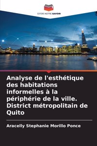 Analyse de l'esthétique des habitations informelles à la périphérie de la ville. District métropolitain de Quito