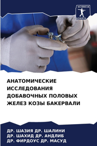 АНАТОМИЧЕСКИЕ ИССЛЕДОВАНИЯ ДОБАВОЧНЫХ П&