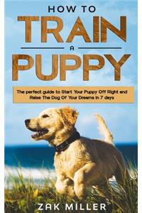 How to Train a Puppy
