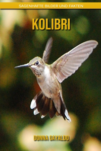 Kolibri