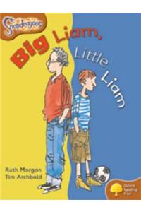 Oxford Reading Tree: Level 8: Snapdragons: Big Liam, Little Liam