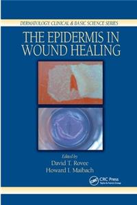 The Epidermis in Wound Healing