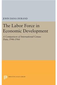 The Labor Force in Economic Development