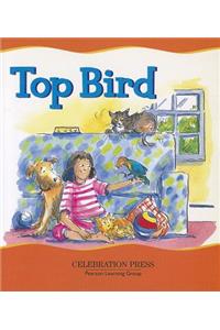 PE USA Chatterbox Ea