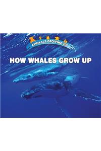 How Whales Grow Up