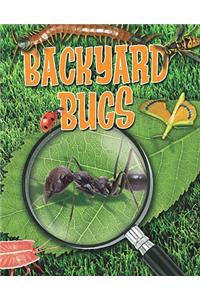 Backyard Bugs