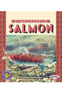 Swimming Salmon