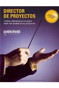 Director de Proyectos