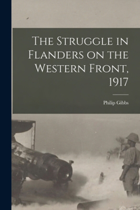 Struggle in Flanders on the Western Front, 1917