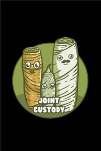 Joint Custody