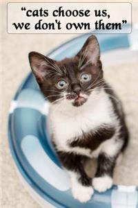 Cats Choose Us, We Don't Own Them