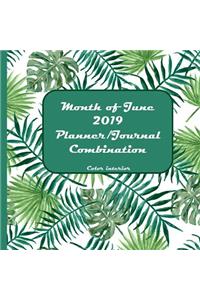 Month of June 2019 Planner/Journal Combination
