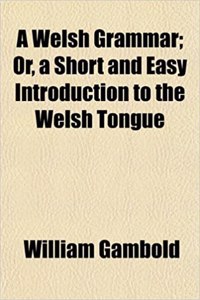 A Welsh Grammar; Or, a Short and Easy Introduction to the Welsh Tongue