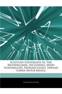 Articles on Egyptian Expatriates in the Netherlands, Including: Mido (Footballer), Hossam Ghaly, Sawsan Gabra Ayoub Khalil