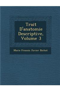 Trait D'Anatomie Descriptive, Volume 3