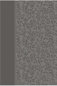 The Passion Translation New Testament (2nd Edition) Gray