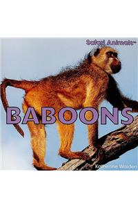 Baboons